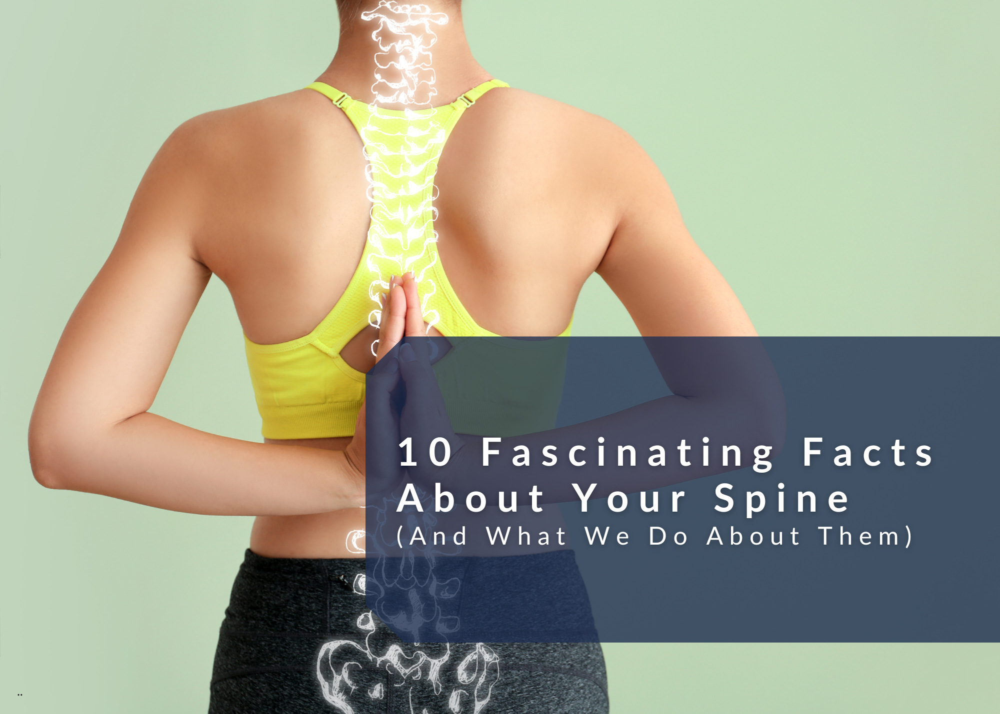 10 Fascinating Facts About Your Spine (And What We Do About Them)