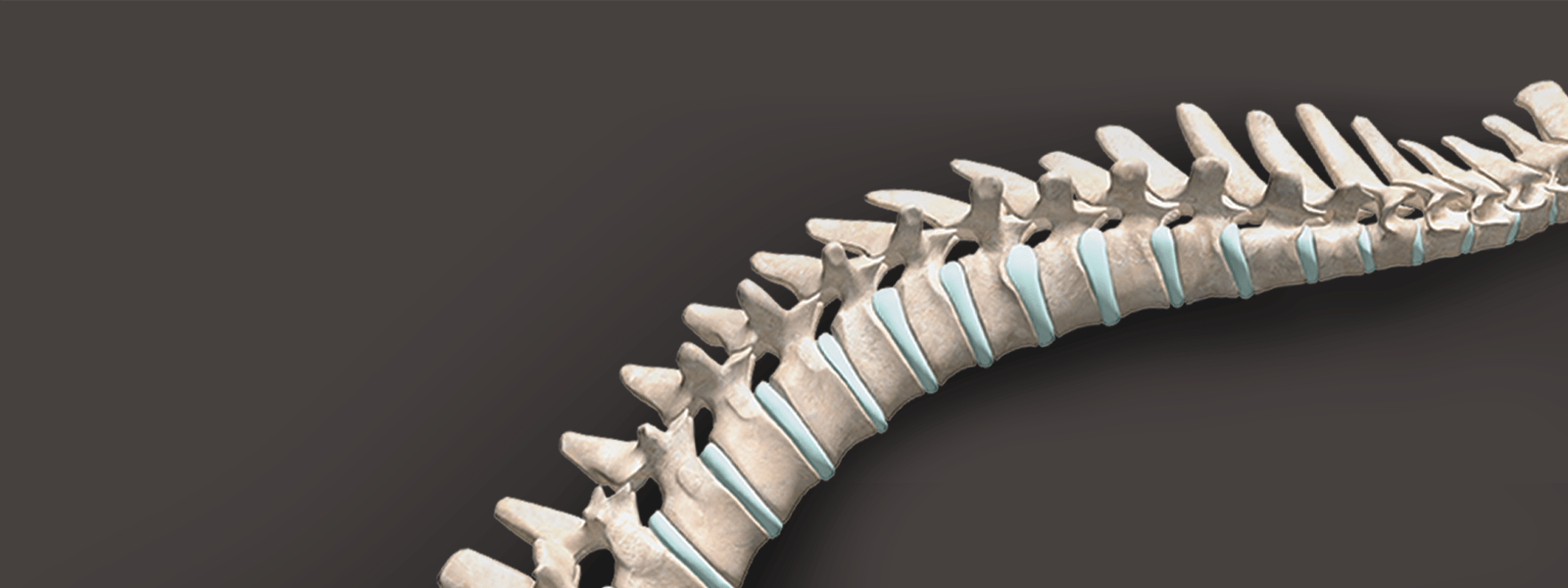 How Spinal Alignment Affects Your Nervous System (and Why It Matters for More Than Just Back Pain)